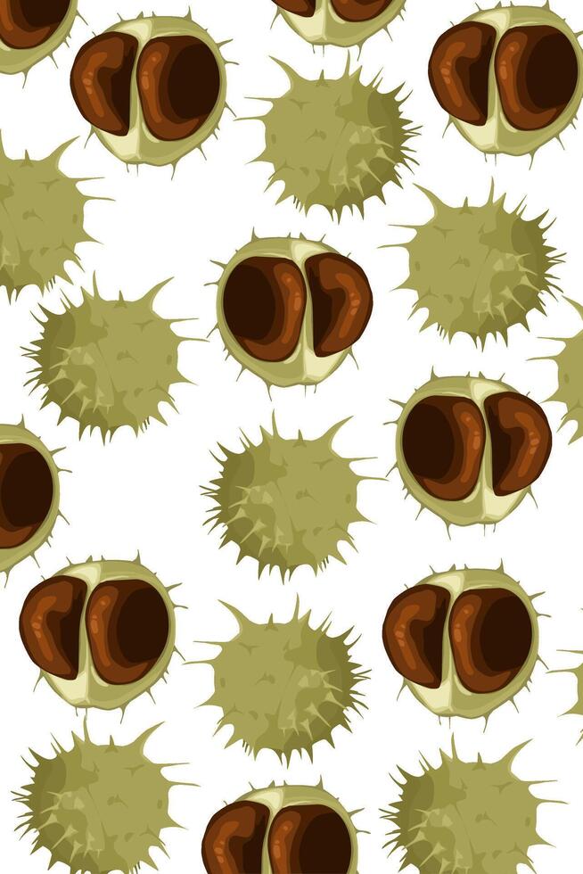 set of chestnuts castanea pattern With Thorny green outer skin and brown seed issolated on white vector
