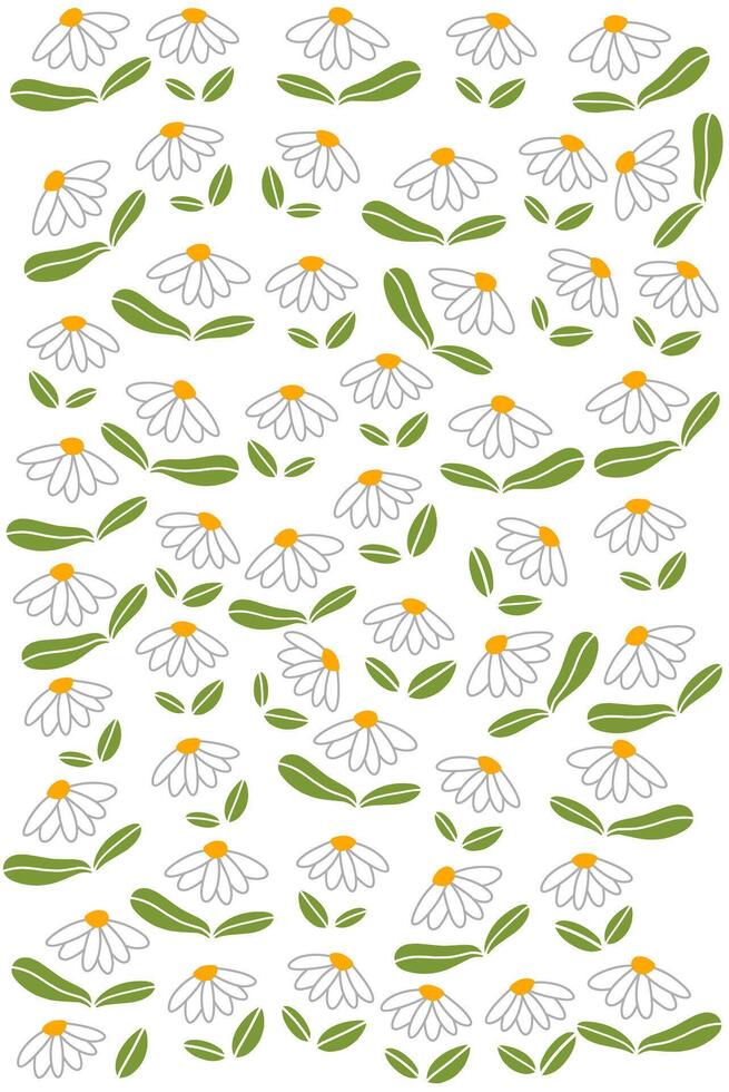 Cute white daisy flower with green leaf into white background. White Flower Wrapping paper vector
