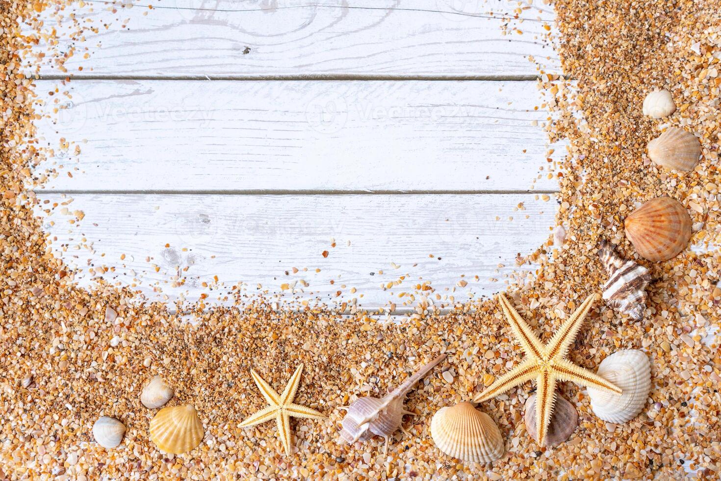 Sand seashells background. Summer time concept with sea shells and starfish on wooden background and sand photo