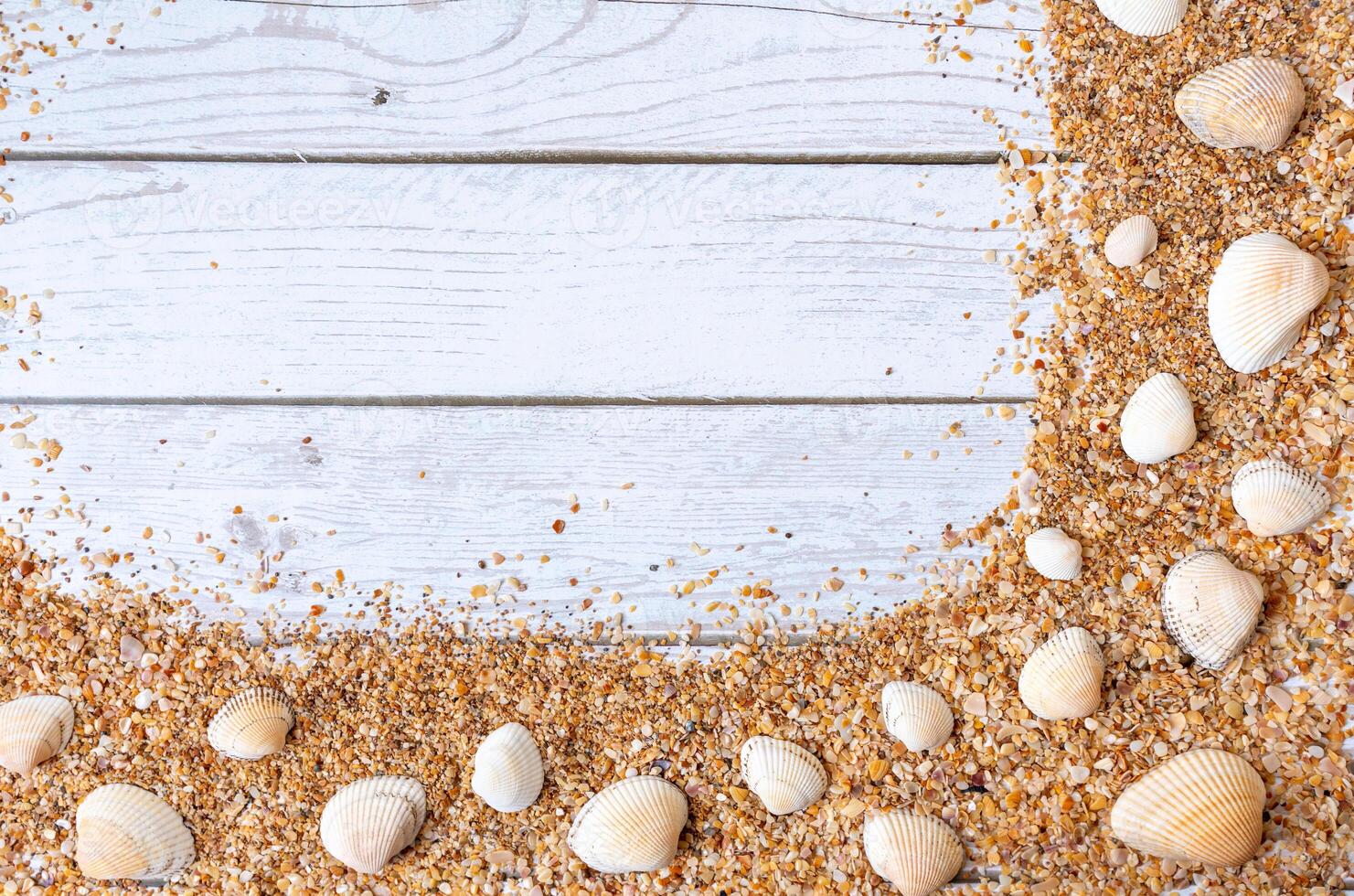 Sand seashells background. Summer time concept with sea shells and starfish on wooden background and sand photo