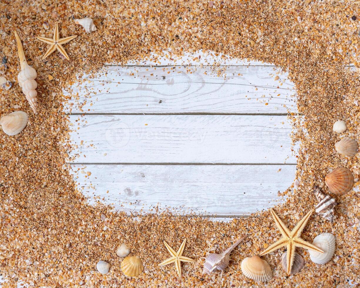 Sand seashells background. Summer time concept with sea shells and starfish on wooden background and sand photo