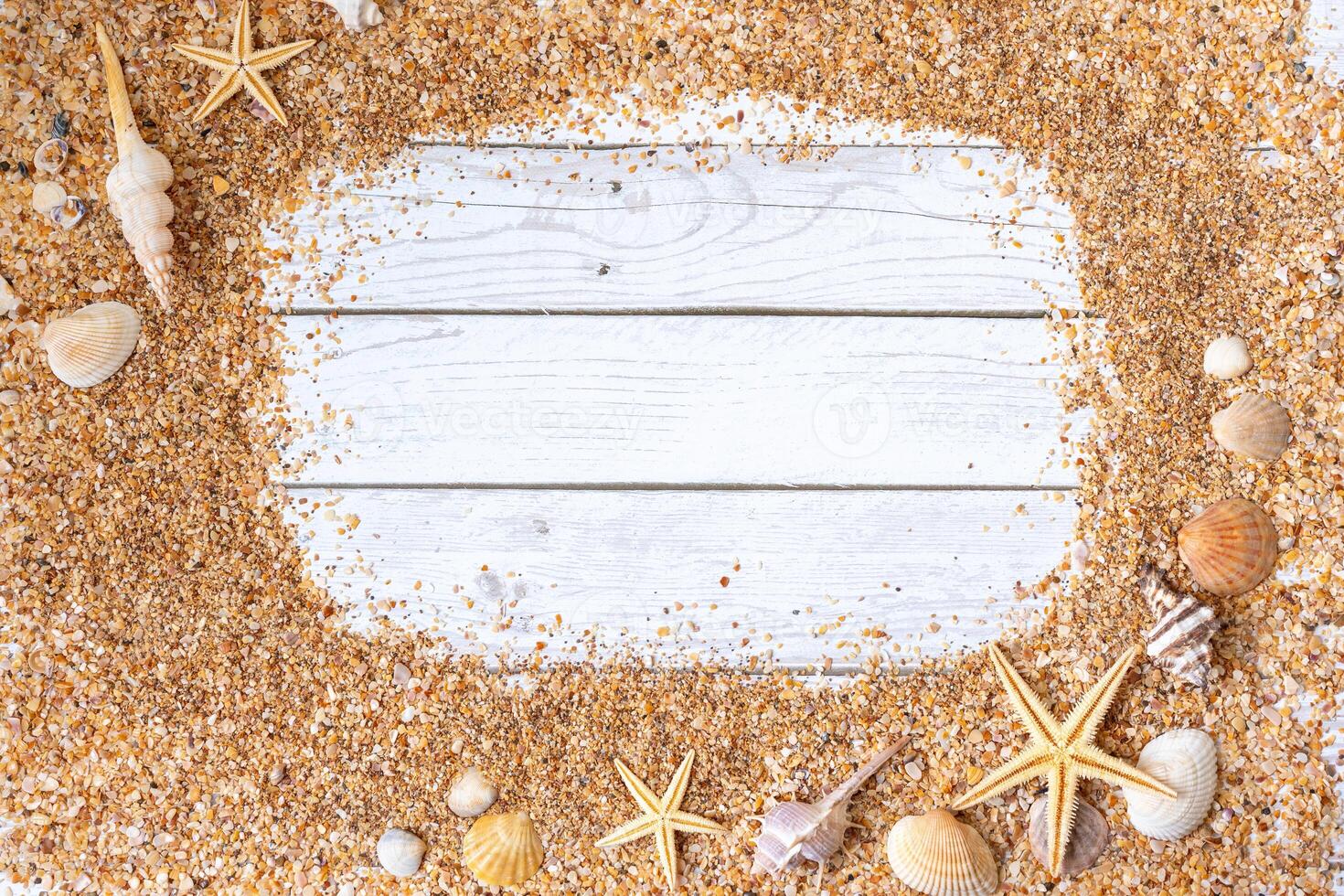 Sand seashells background. Summer time concept with sea shells and starfish on wooden background and sand photo