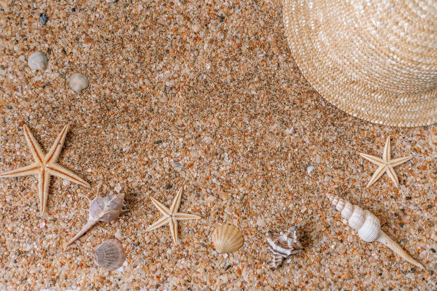 Sand shells background. Summer time concept with sea shells and starfish on the sand photo