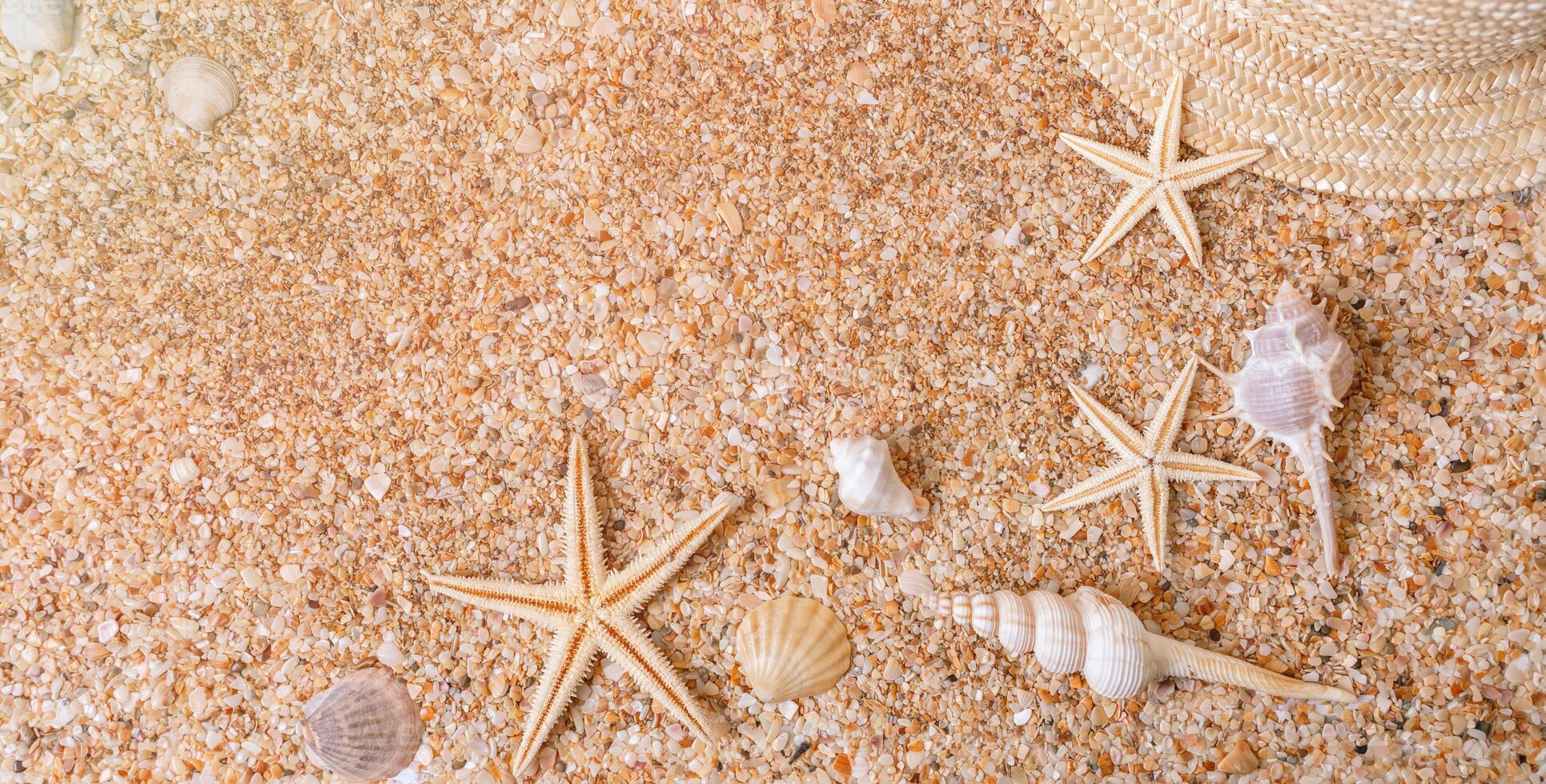 Sand shells banner background. Summer time concept with sea shells and starfish on the sand photo