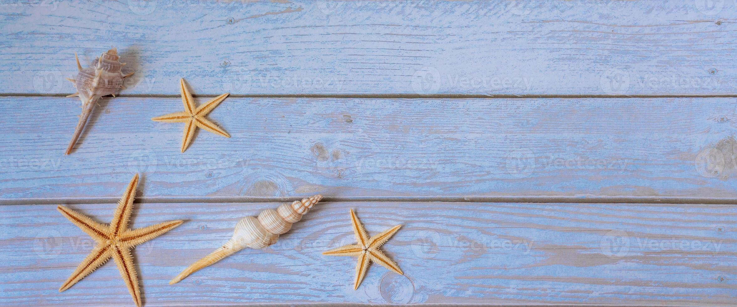 Seashells star banner. Summer sea background - seashells, star on wooden blue background photo