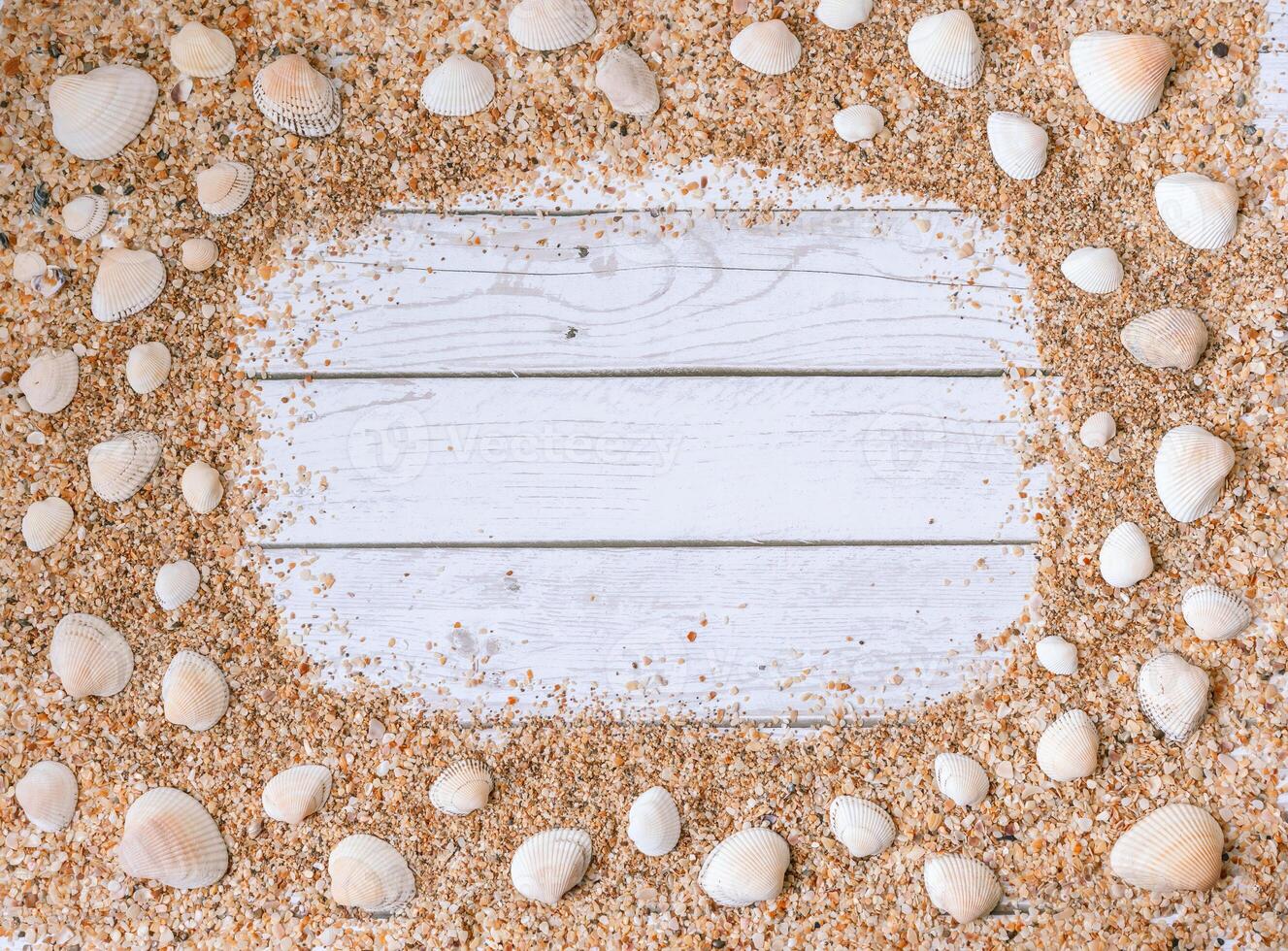 Sand seashells background. Summer time concept with sea shells and starfish on wooden background and sand photo