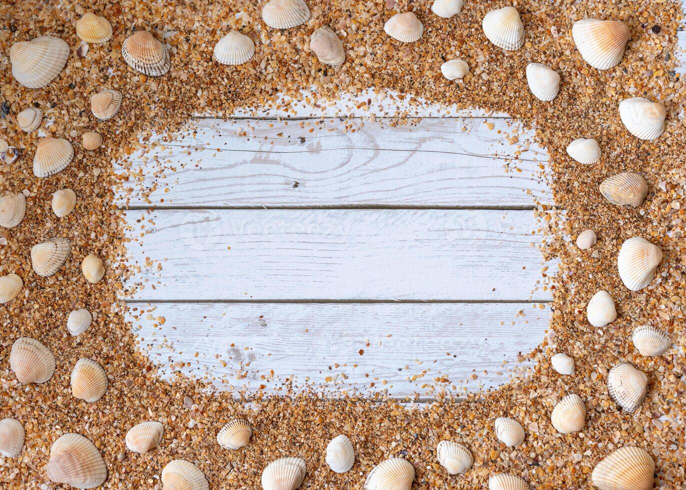 Sand seashells background. Summer time concept with sea shells and starfish on wooden background and sand photo