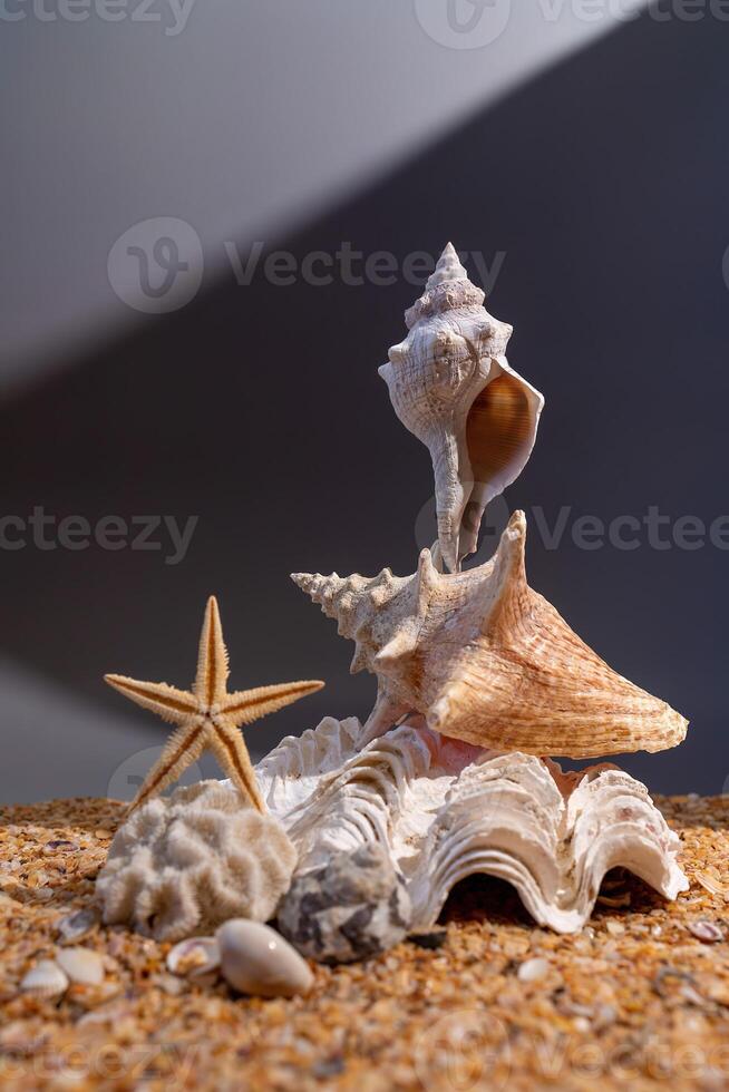 Pyramid of shells on the sand on a gray background, vertical photo. photo