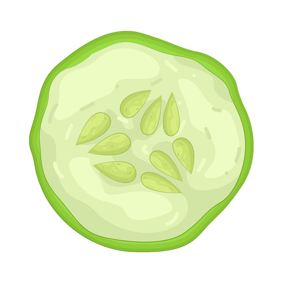 Illustration of Cucumber Slices vector