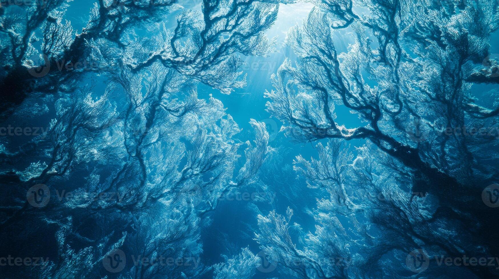 Sunlight filtering through underwater kelp forest canopy in ocean depths photo