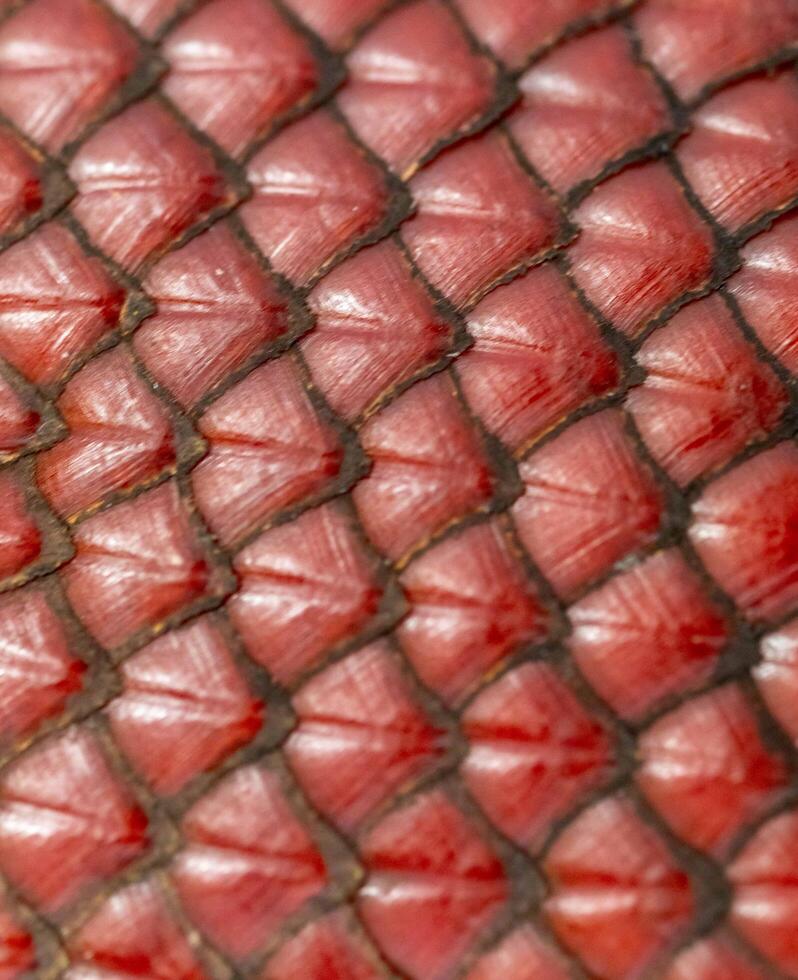 Texture of the skin of ripe buriti fruit 5 photo