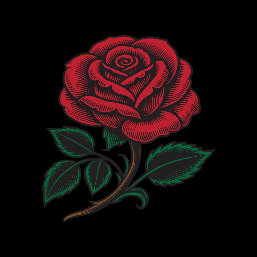 Red Rose Hand drawn illustration vector