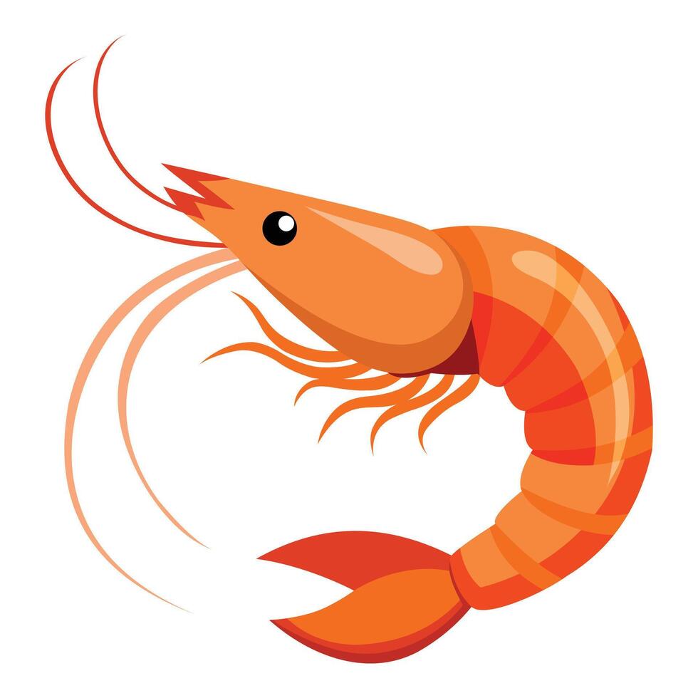 Single Raw Shrimp Displayed on White vector
