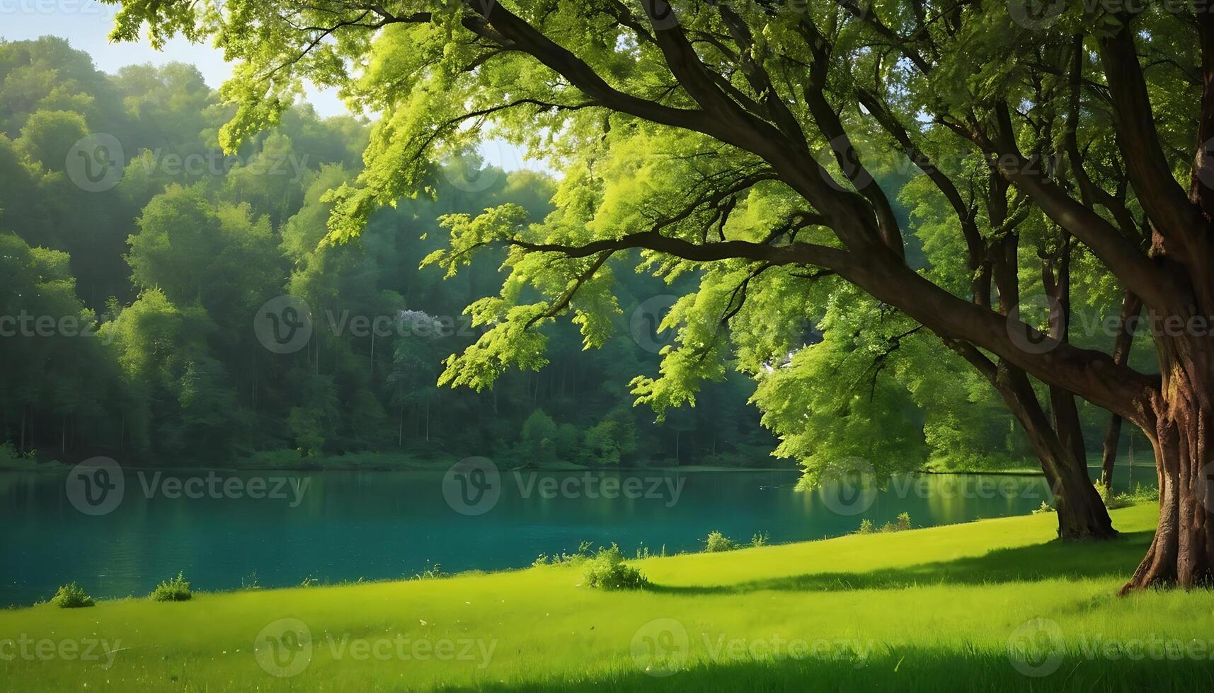 Beautiful natural background, image number 5 photo