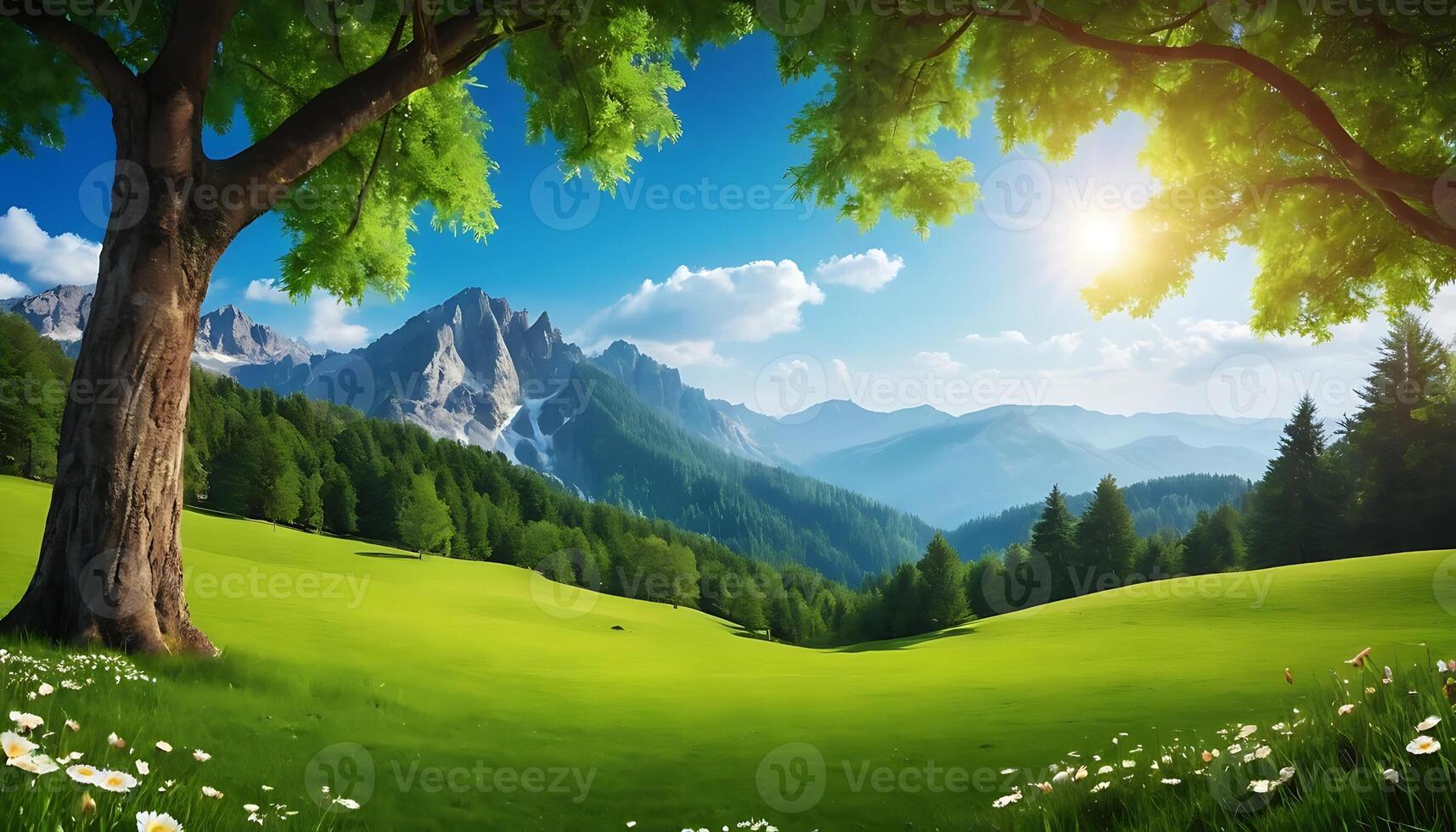 Image of nature photo