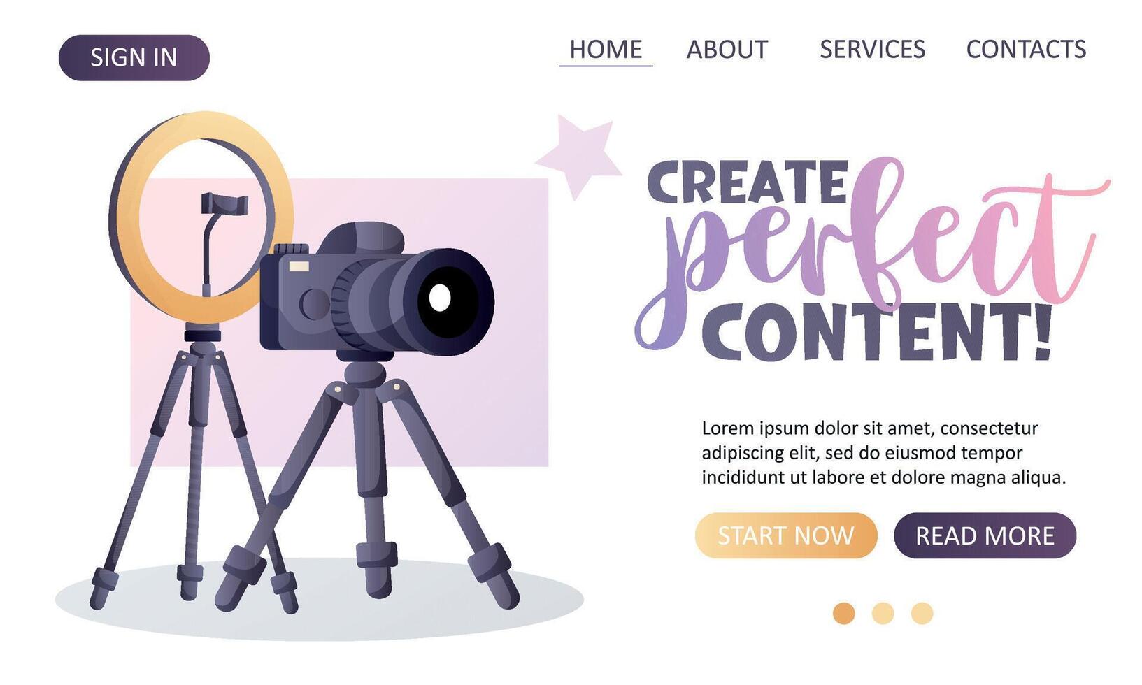 Web page design create perfect content vector