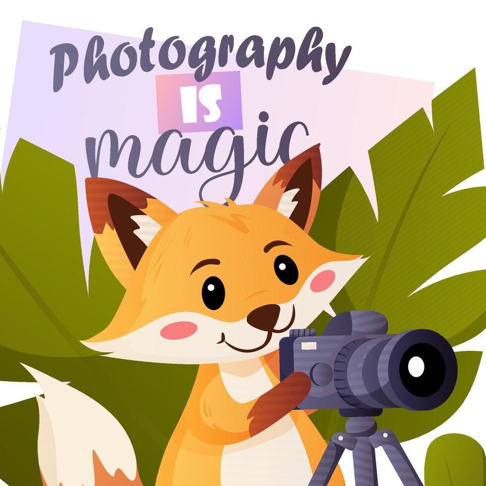 postcard photography is magic vector