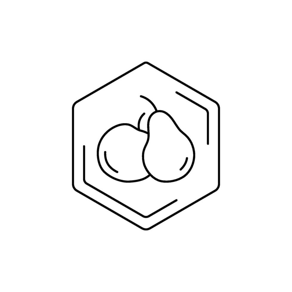 Pear and apple icon inside hexagonal frame on white background. fruit black line pictogram. Tropical themes, fruits, pollen, field honey in a minimalistic style. vector