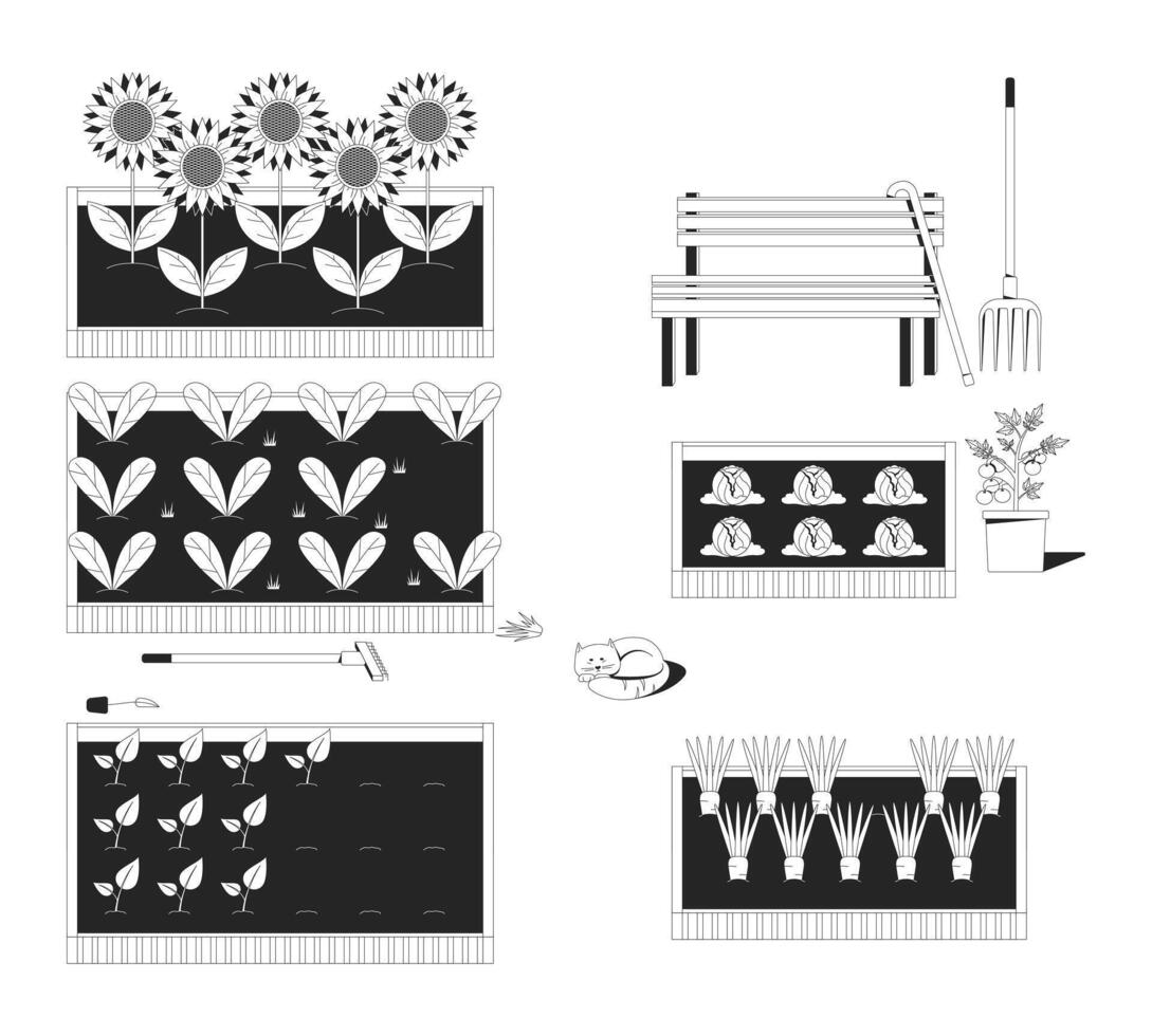 Community garden with raised beds outline illustration. Bench with cane, sleeping cat. Sunflowers, leafy greens, tomatoes, carrots 2D line scene isolated on white. Monochrome ink linear image vector