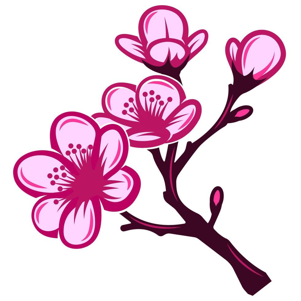 A vibrant and elegant cherry blossom branch with delicate pink flowers and intricate details perfect for spring designs vector