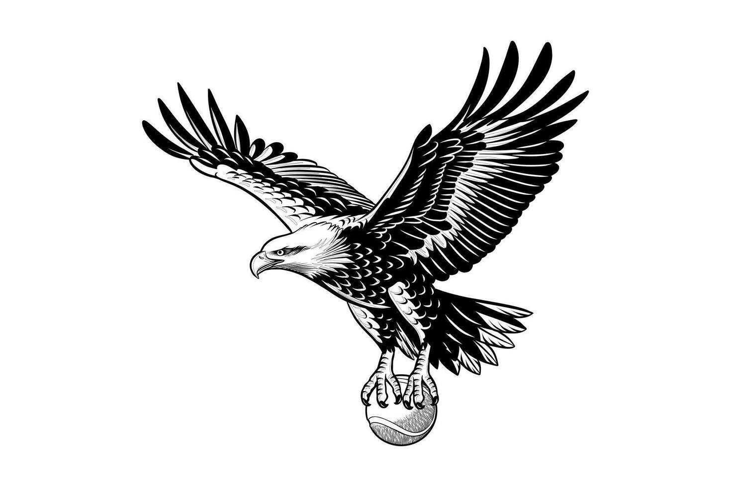 hand drawn illustration of an eagle carrying a ball vector