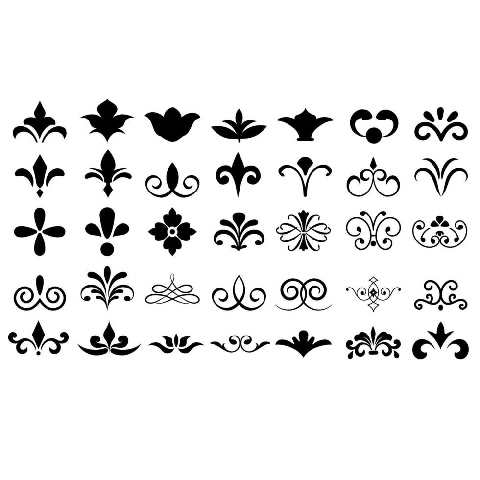 set of calligraphic swirls and curls isolated on white background vector