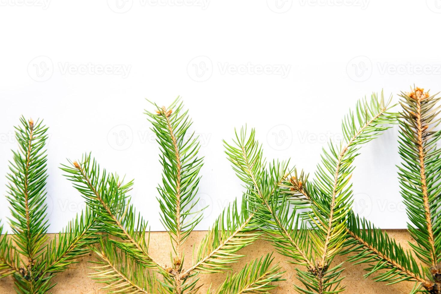 Fresh evergreen branches arranged on a light wooden background for seasonal decoration and crafting ideas, perfect for winter themes photo