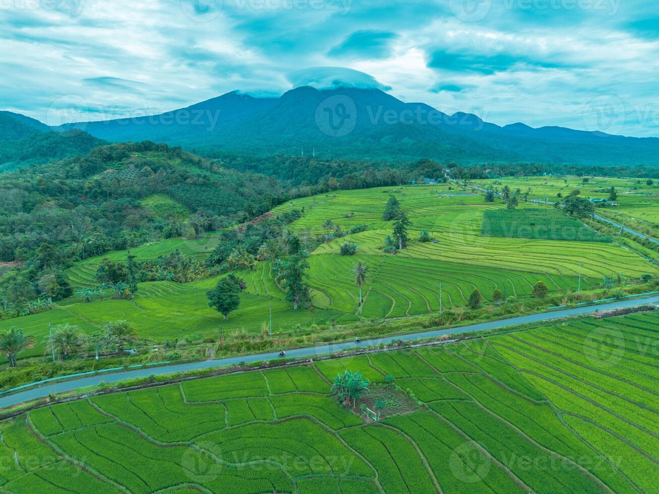 Green rice fields and mountain landscape in bali, indonesia photo