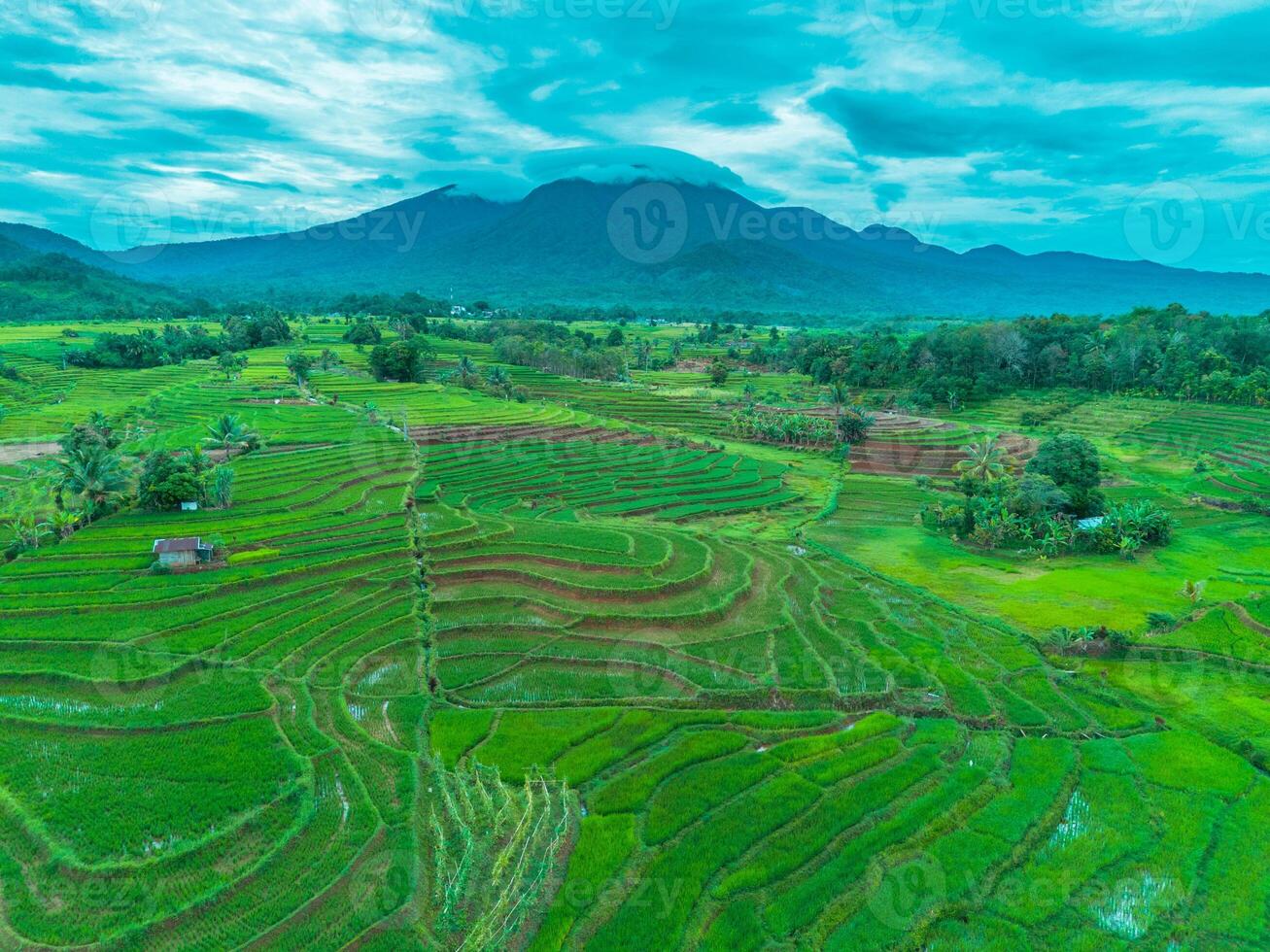 Aerial view of rice terraces in the mountains of thailand photo