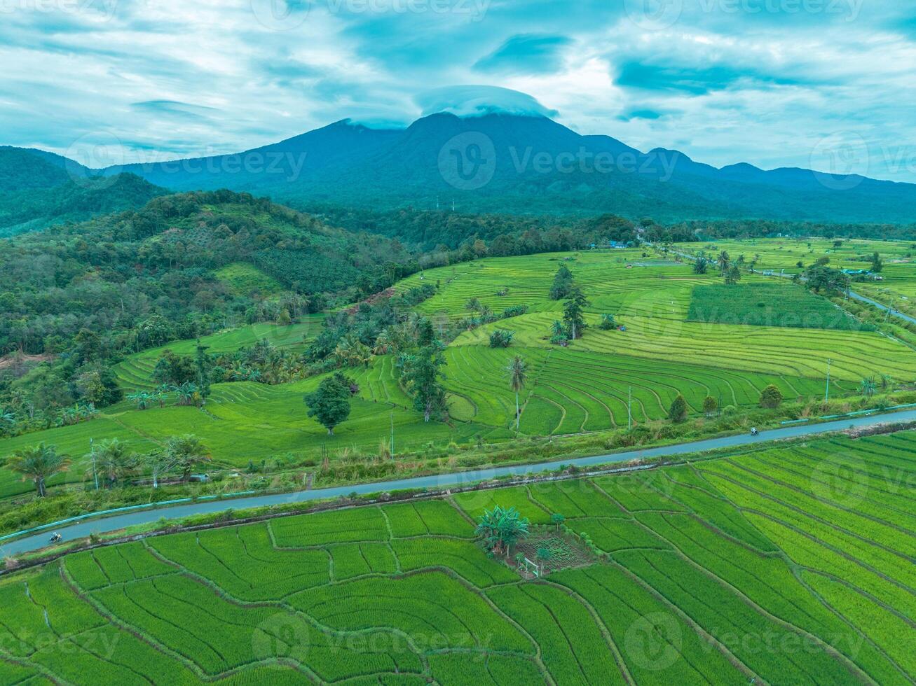 Green rice fields and mountain in bali, indonesia photo