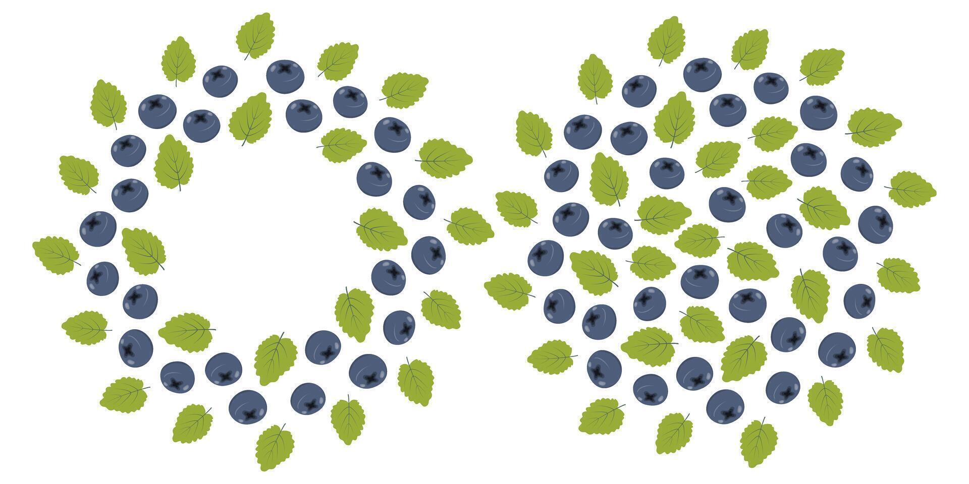 Blueberries and mint leaves Circular Frame border and Round Background Texture. Copy space Template. Set 2 Isolated illustration Thematic card, poster, label or web promo leaflet, banner, price vector