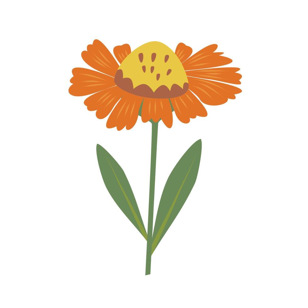 Abstract orange flower isolated on white background. Spring bloom. vector