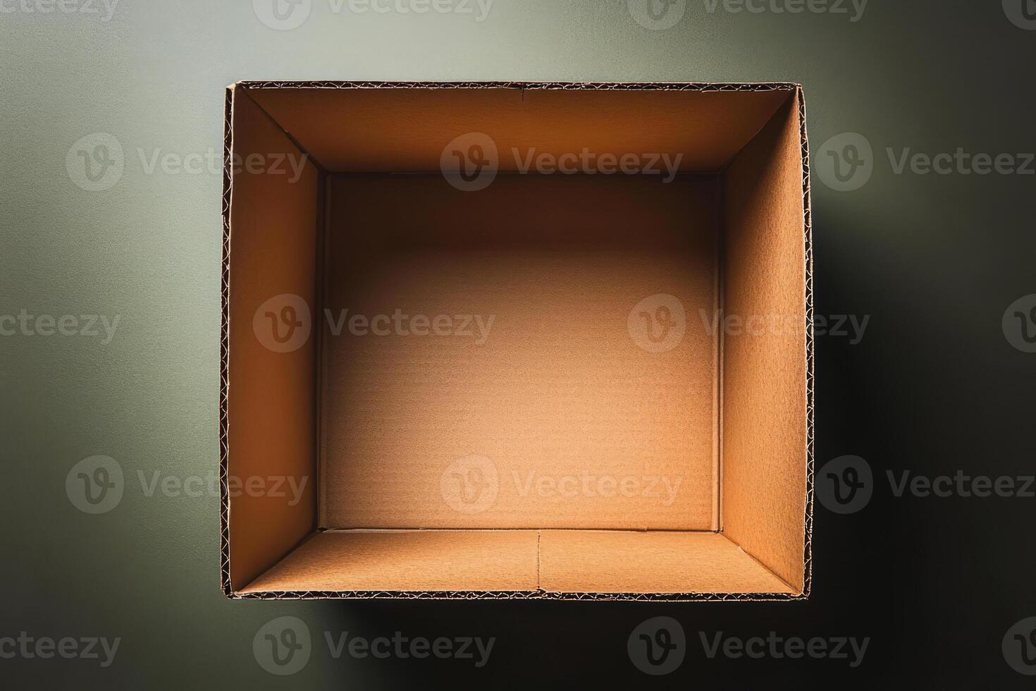 Top view of an open cardboard box photo