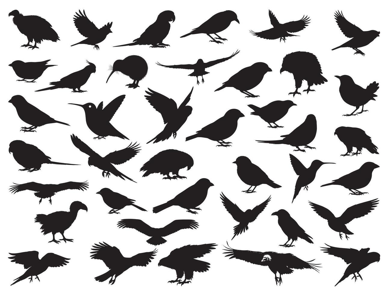 BIRDS SILHOUETTE WHITE BACKGROUND vector