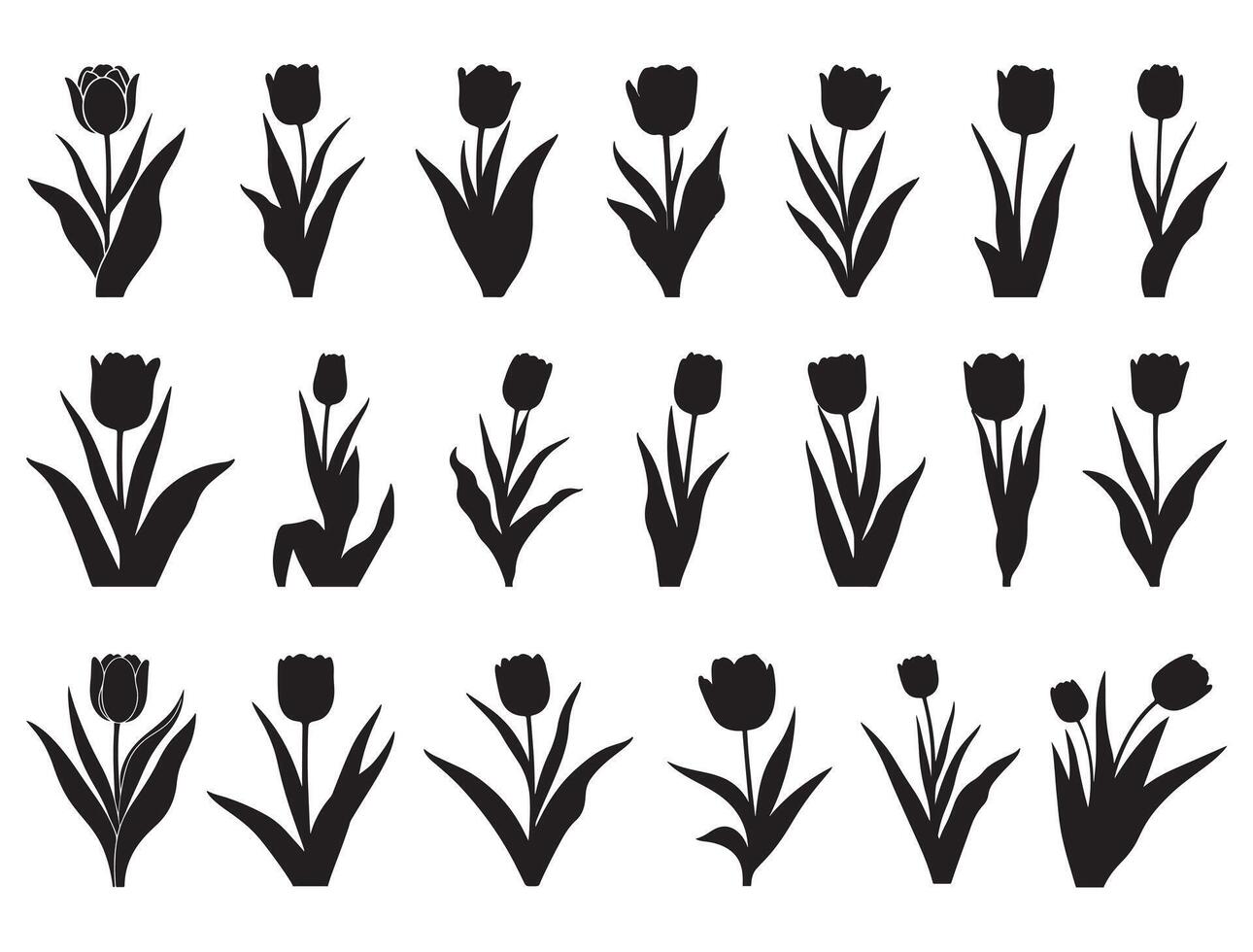 TULIP FLOWER SILHOUETTE WHITE BACKGROUND vector