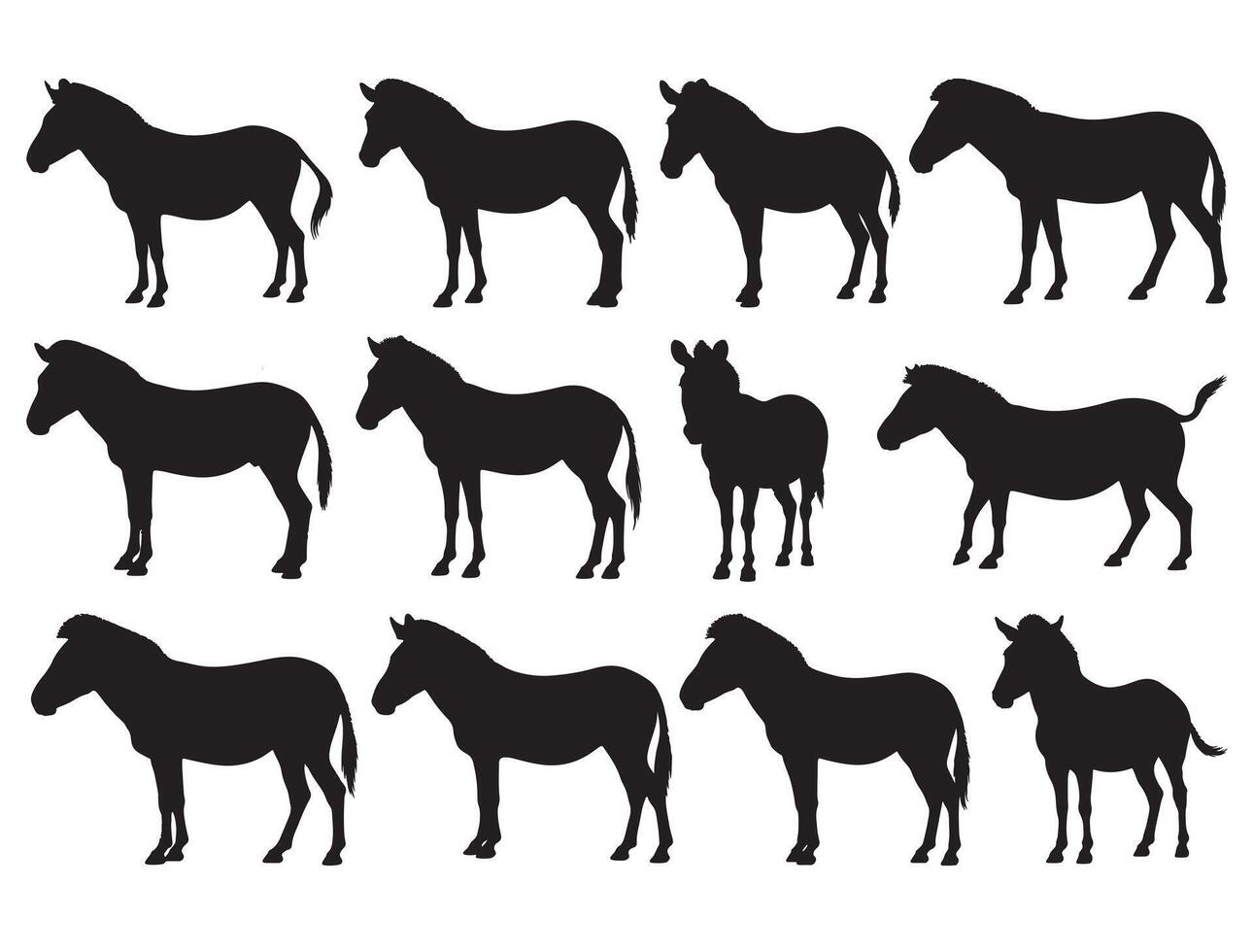 ZEBRA SILHOUETTE WHITE BACKGROUND vector