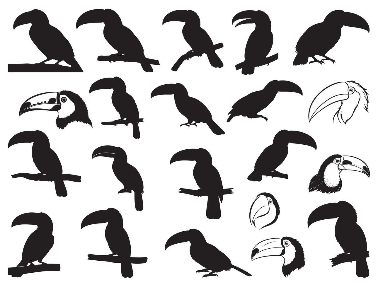 TOUCAN BIRD SILHOUETTE WHITE BACKGROUND vector