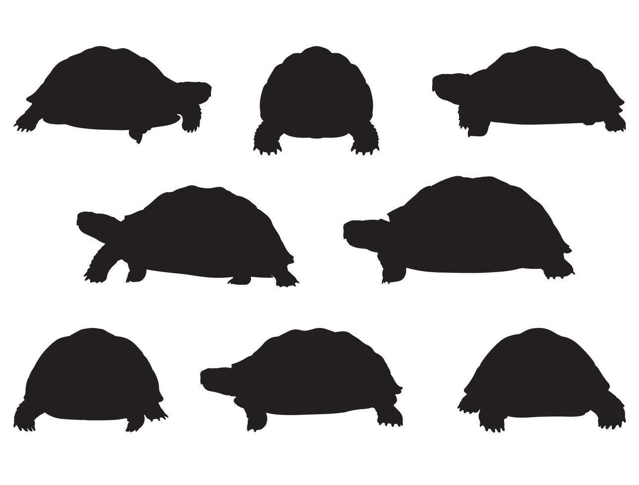 TORTOISE SILHOUETTE WHITE BACKGROUND vector
