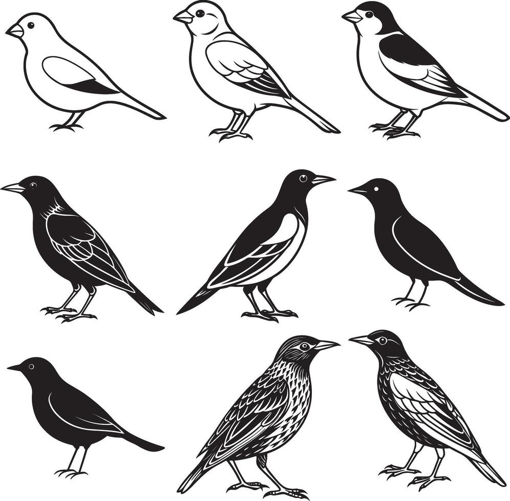 line art snow bunting icon set vector