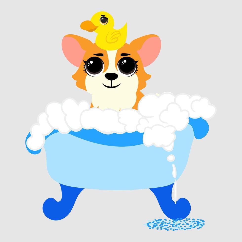 Adorable cartoon corgi taking a bubble bath in a vintage bathtub with a rubber duck on its head vector