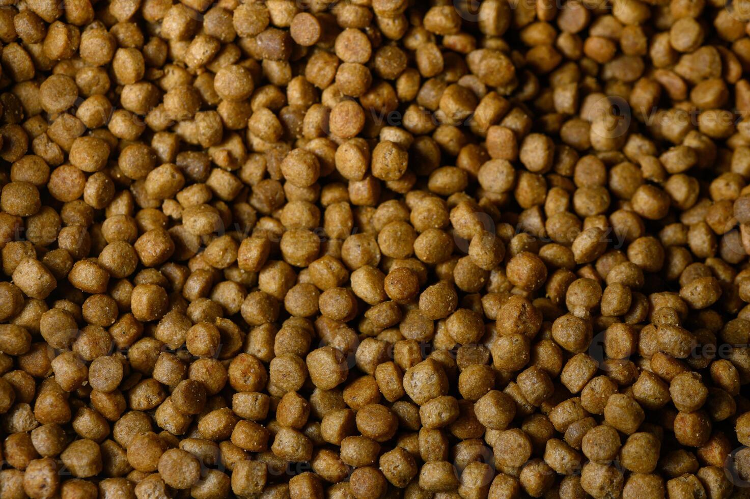 Pet food pellets scattered across a surface, showcasing their rich texture and earthy tones during daylight photo