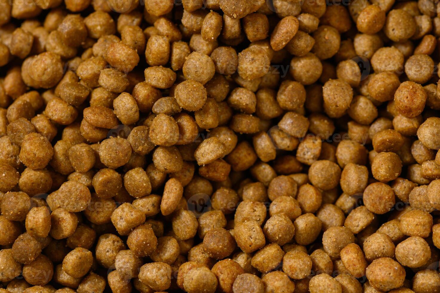 Crunchy brown morsels scattered across a surface create a textured tapestry of pet food delight photo
