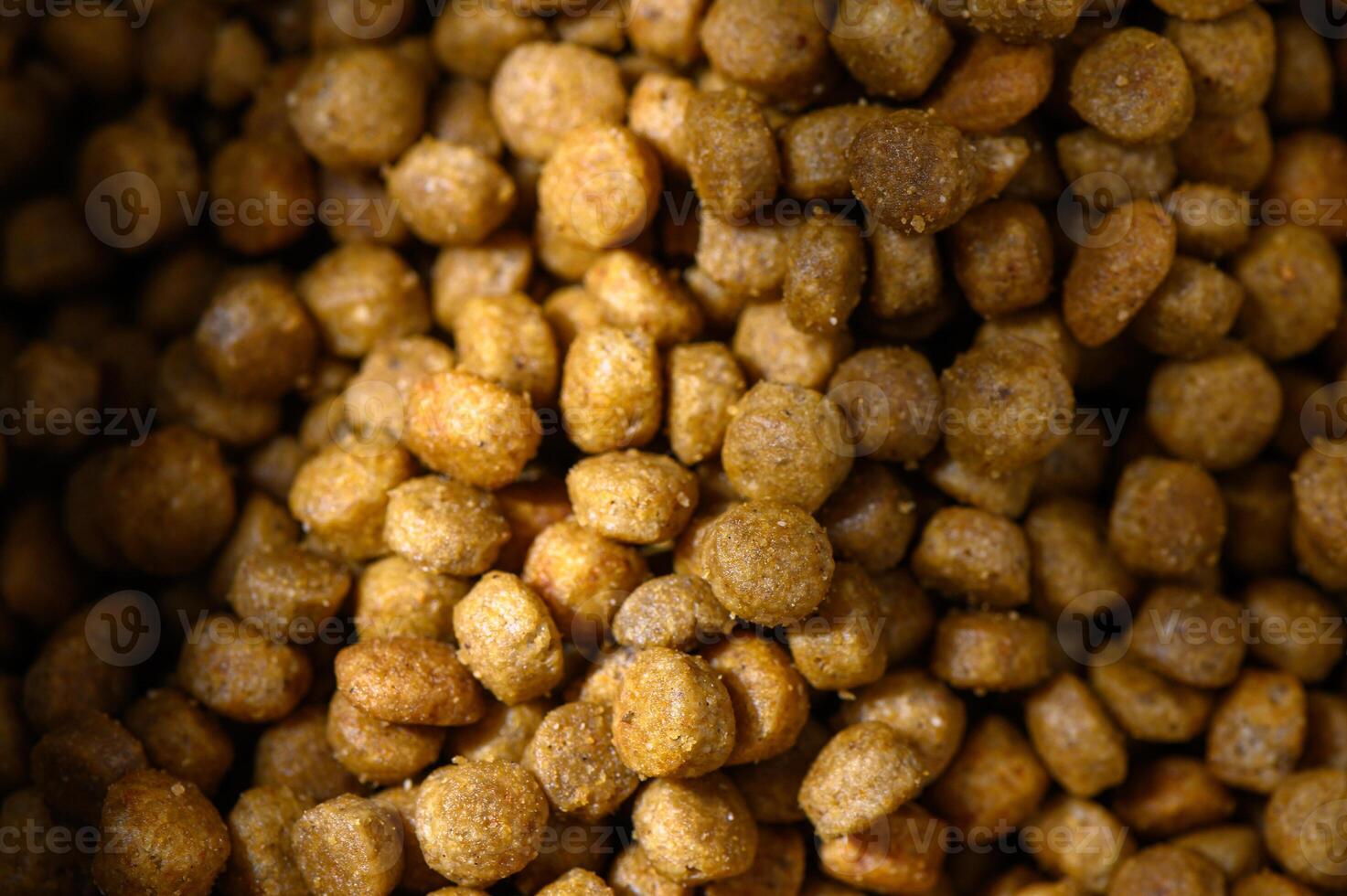 Nutrient-rich pet food scattered across a dark surface under soft lighting photo