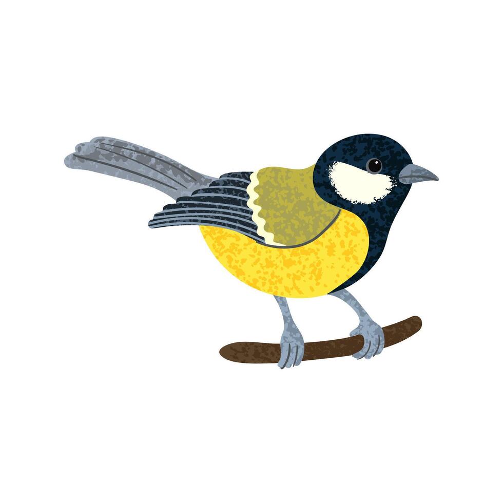 Colorful Illustration of Titmouse Bird Isolated on White Background vector