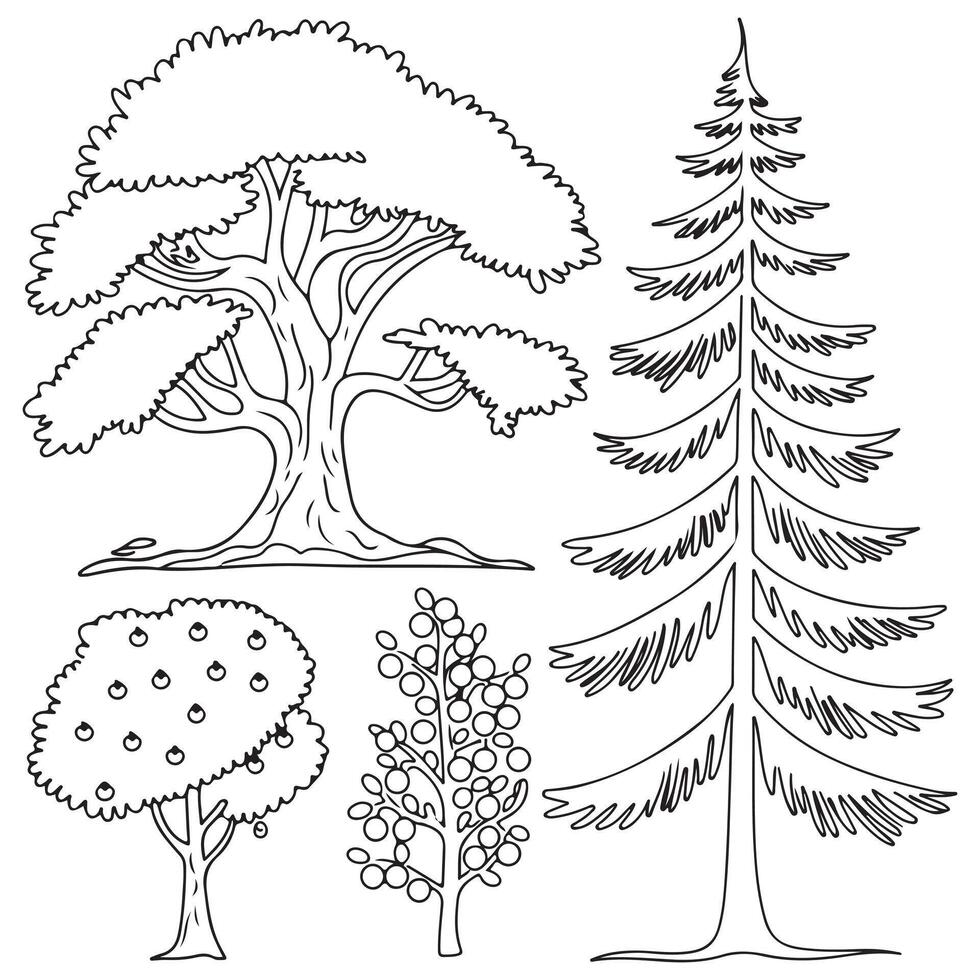 Various Trees Coloring Page for Kids vector