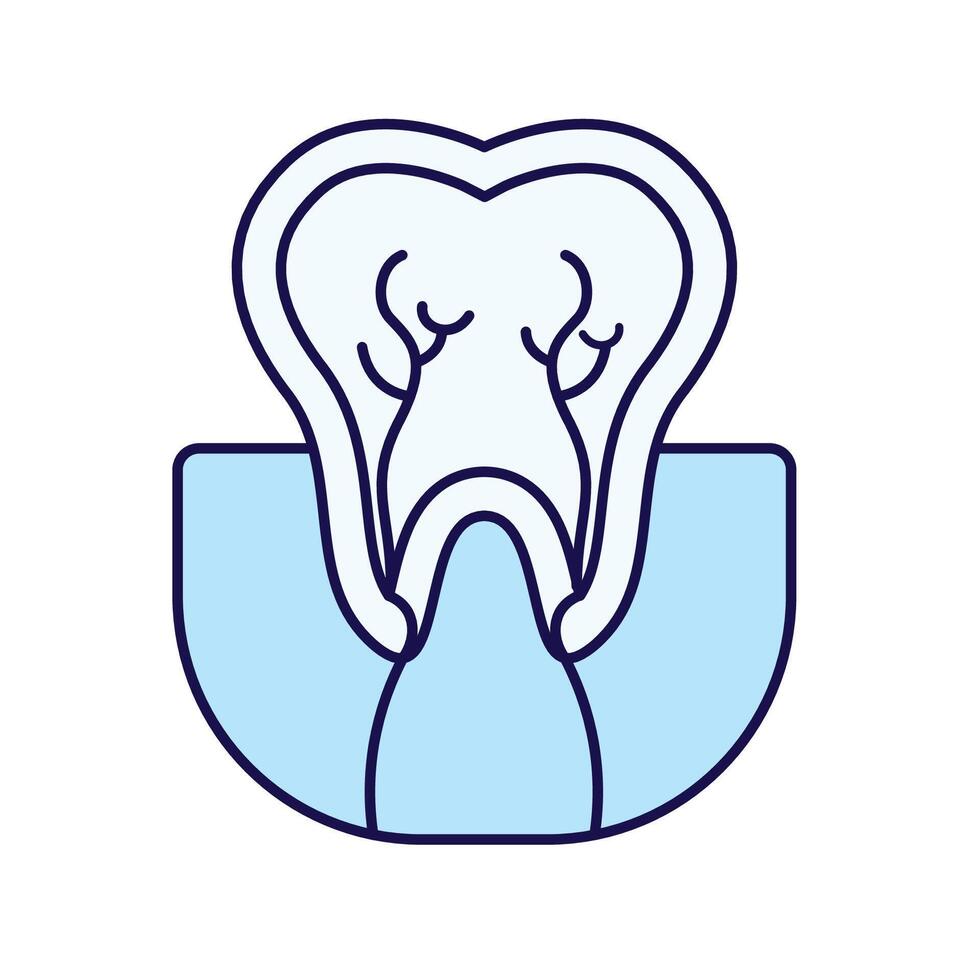 This image is a minimalistic, outline-style icon of a tooth cross section. It depicts the internal structure of a tooth, including the enamel, dentin, pulp, and root canals vector