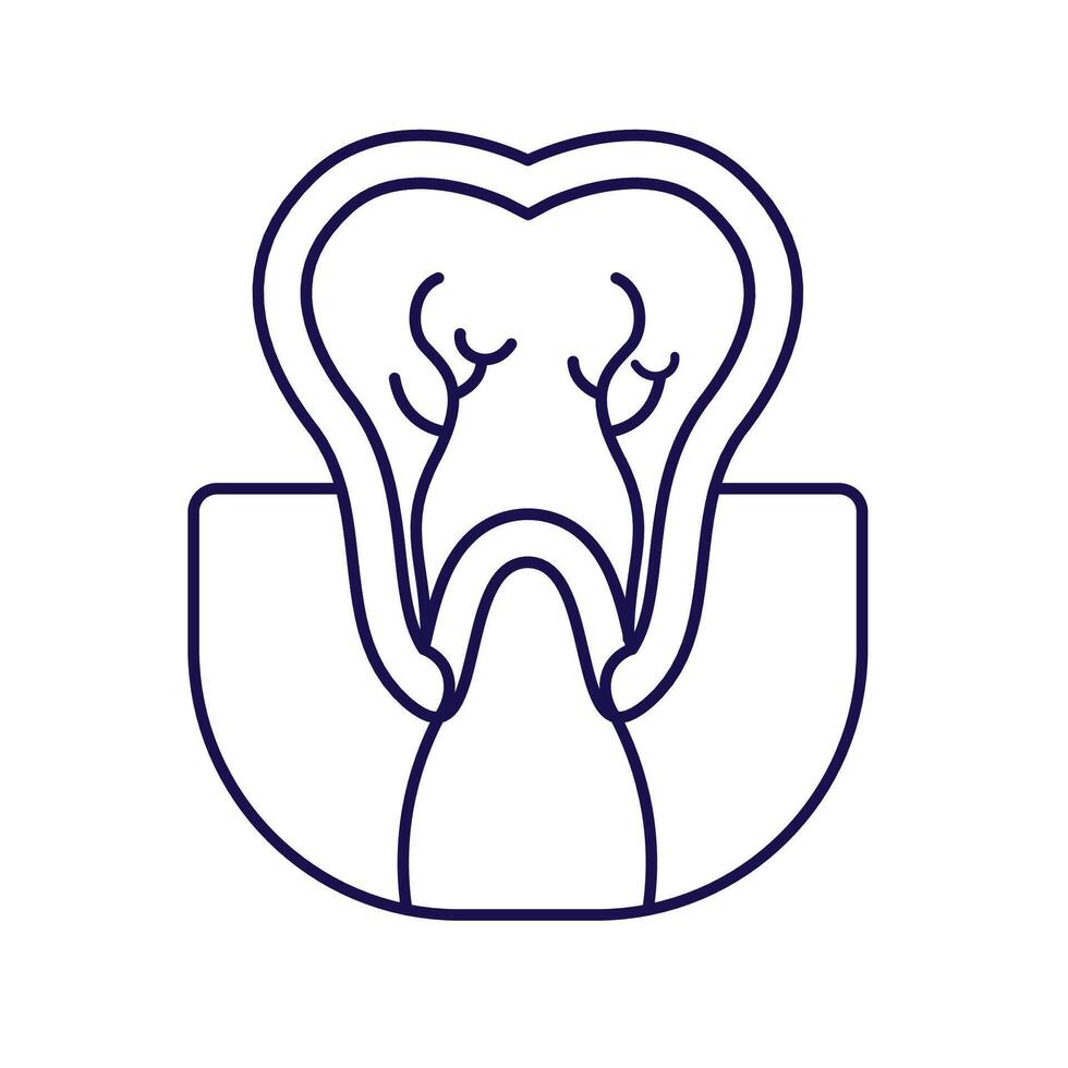 Dental Care Icon Outline-20This image is a minimalistic, outline-style icon of a tooth cross-section. It depicts the internal structure of a tooth, including the enamel, dentin, pulp, and root canals vector
