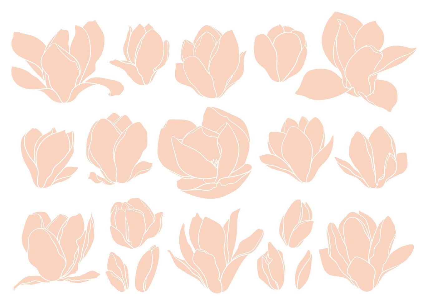 Set of magnolia flowers on white background. Floral collage in beige colors, trendy style. Modern minimalist art for wedding invitation, greeting card, poster, other designs vector