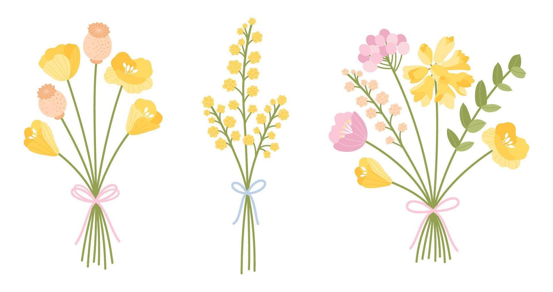 Wildflower bouquets set, gentle floral bouquets with poppies. Flowers tied with ribbons. Meadow herbs and wild plants for design projects vector
