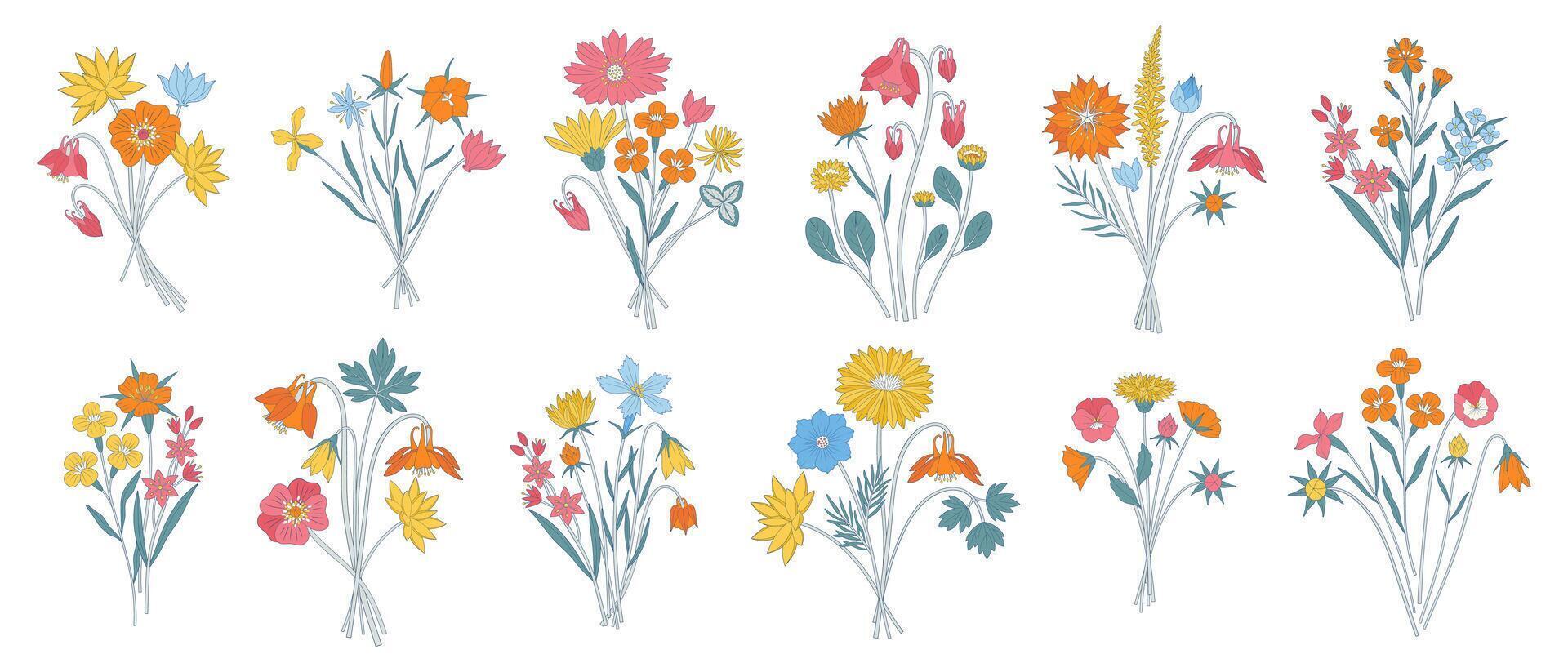 Wildflower multicolored bouquets set. Bunches of blooming meadow flowers, herbs, and wild plants. Botanical hand-drawn elements for design projects, minimal style vector